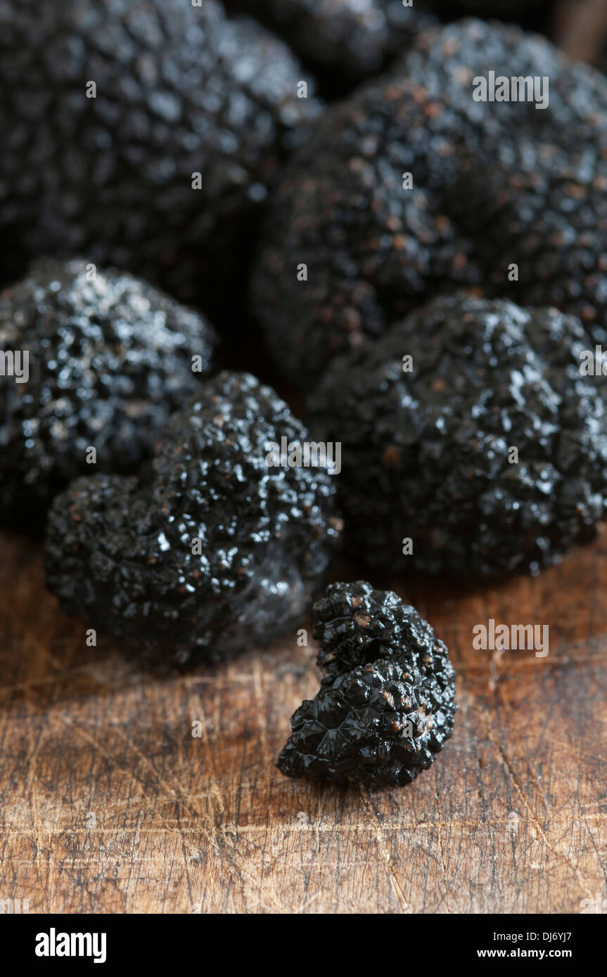Fungi truffle hires stock photography and images Alamy