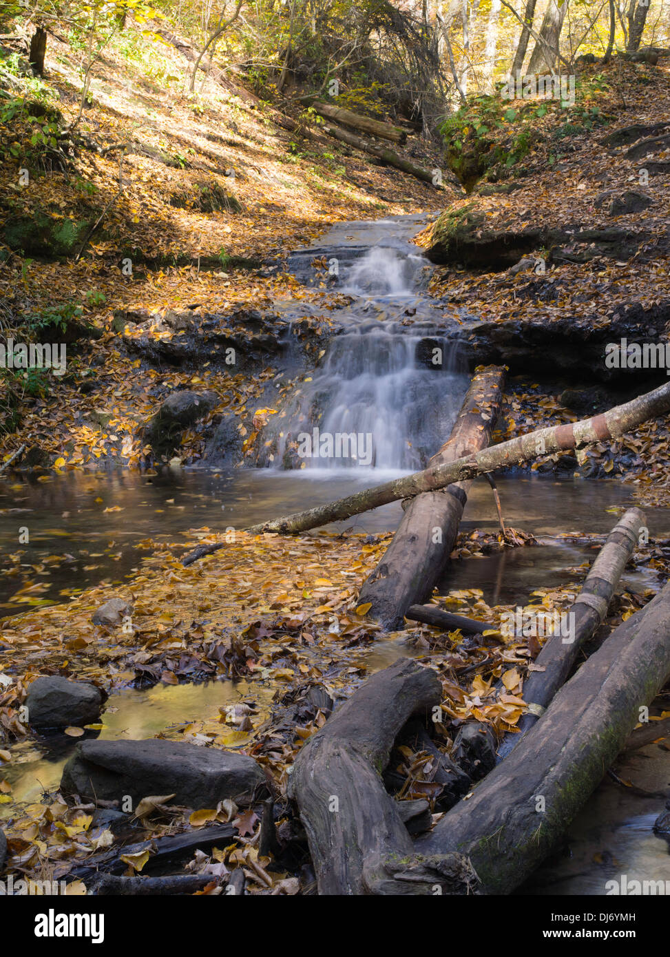 Fall colors are on vivid display at Parfrey's Glen State Natural Area