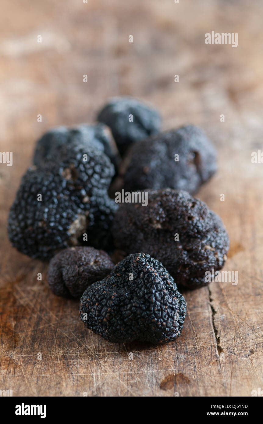 Black Périgord Truffles grown in North Carolina. divine, aromatic and
