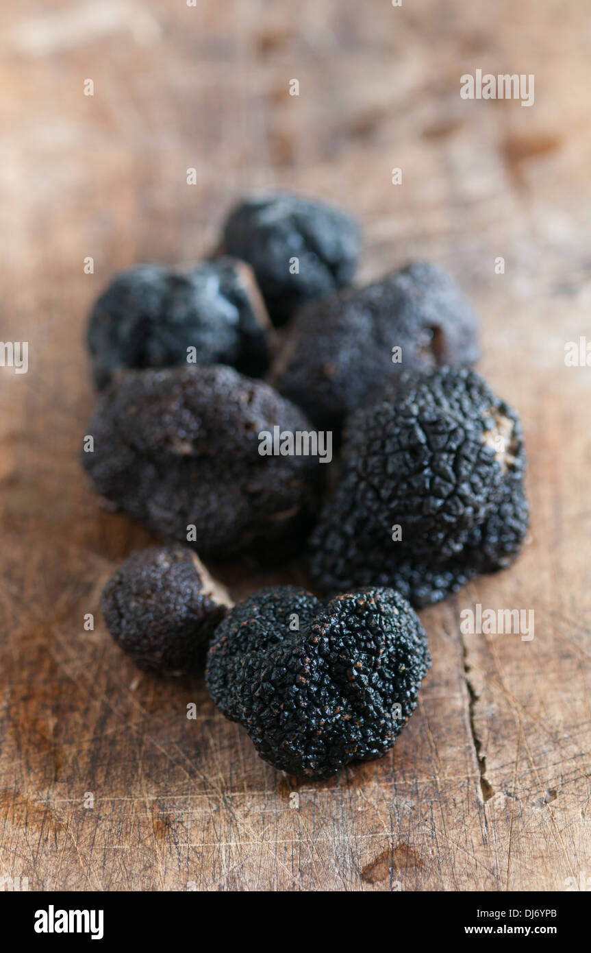 Black Périgord Truffles grown in North Carolina. divine, aromatic and