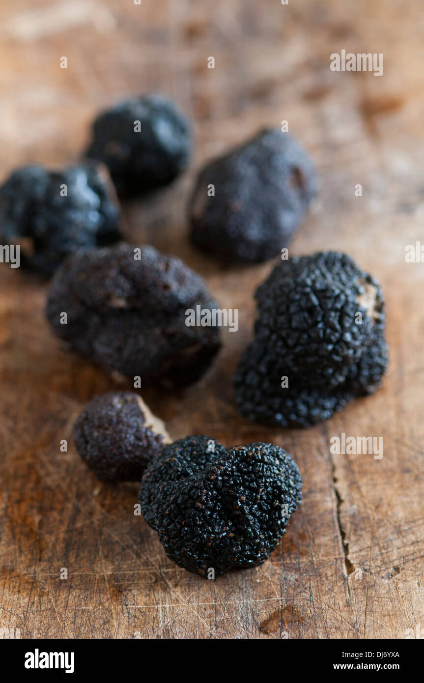 Black Périgord Truffles grown in North Carolina. divine, aromatic and