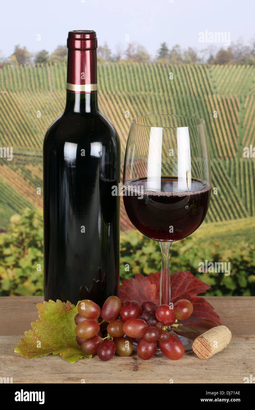 Red wine in a bottle and in a wine glass in the vineyards Stock Photo