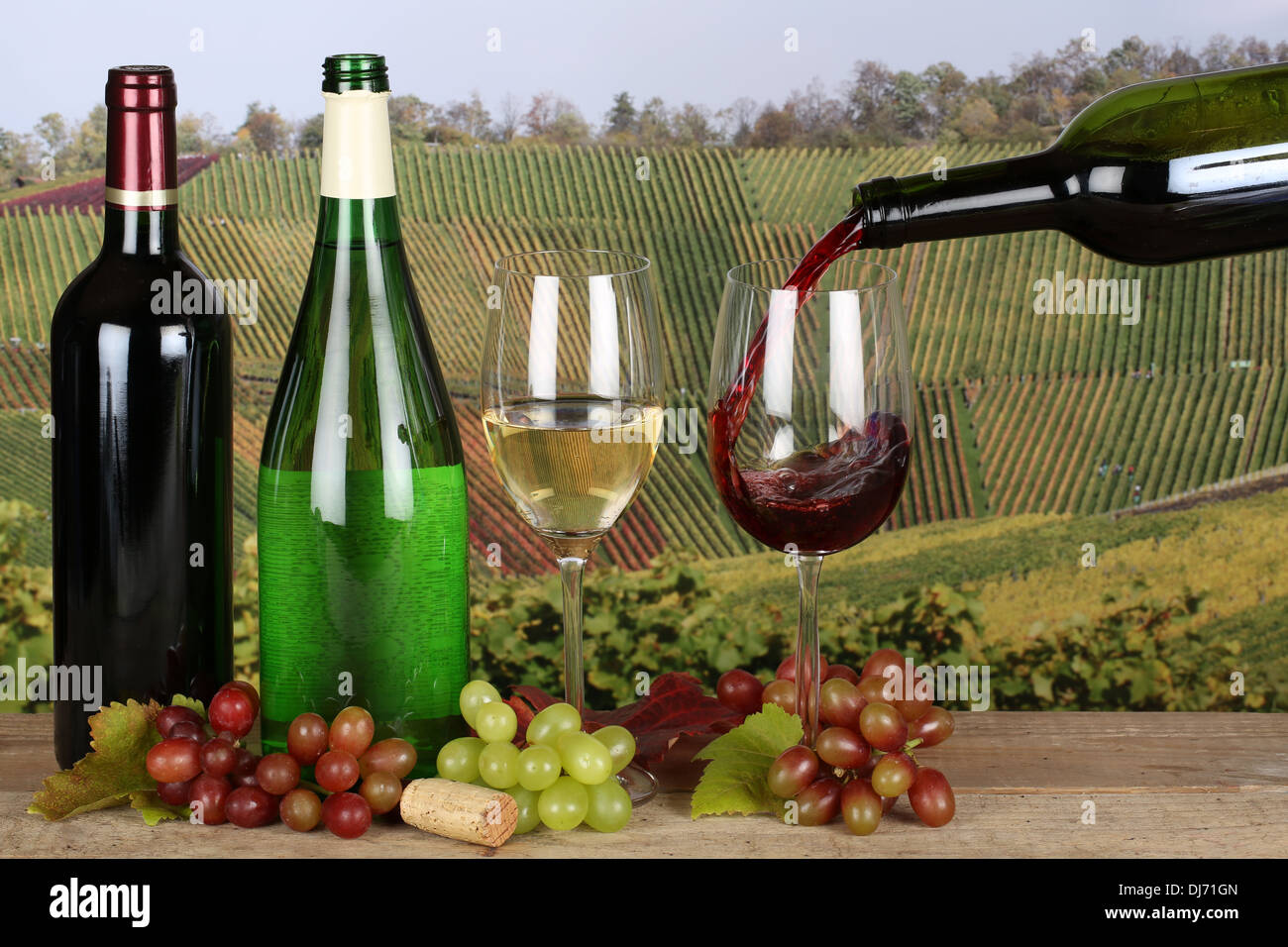 Red wine pouring from a bottle into a wine glass in the vineyards Stock Photo