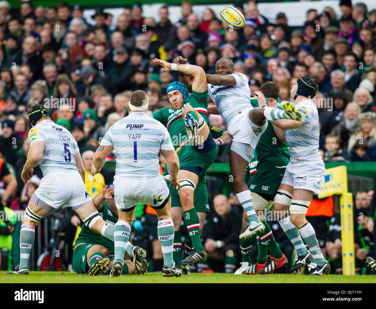 Leicester, UK. 23rd Nov, 2013. Graham KITCHENER (Leicester Tigers) and ...