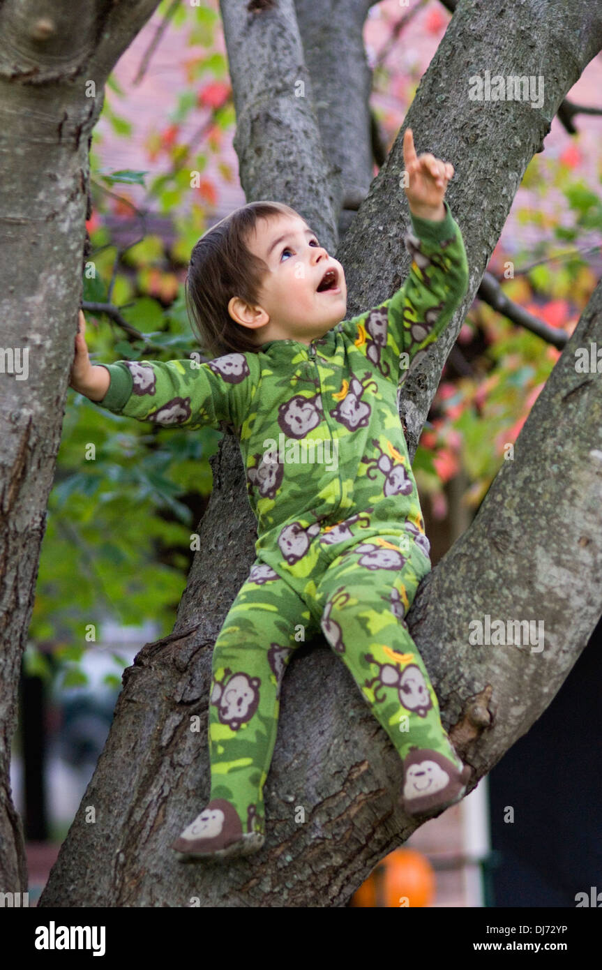 Toddler Sitting in Maple Tree Stock Photo