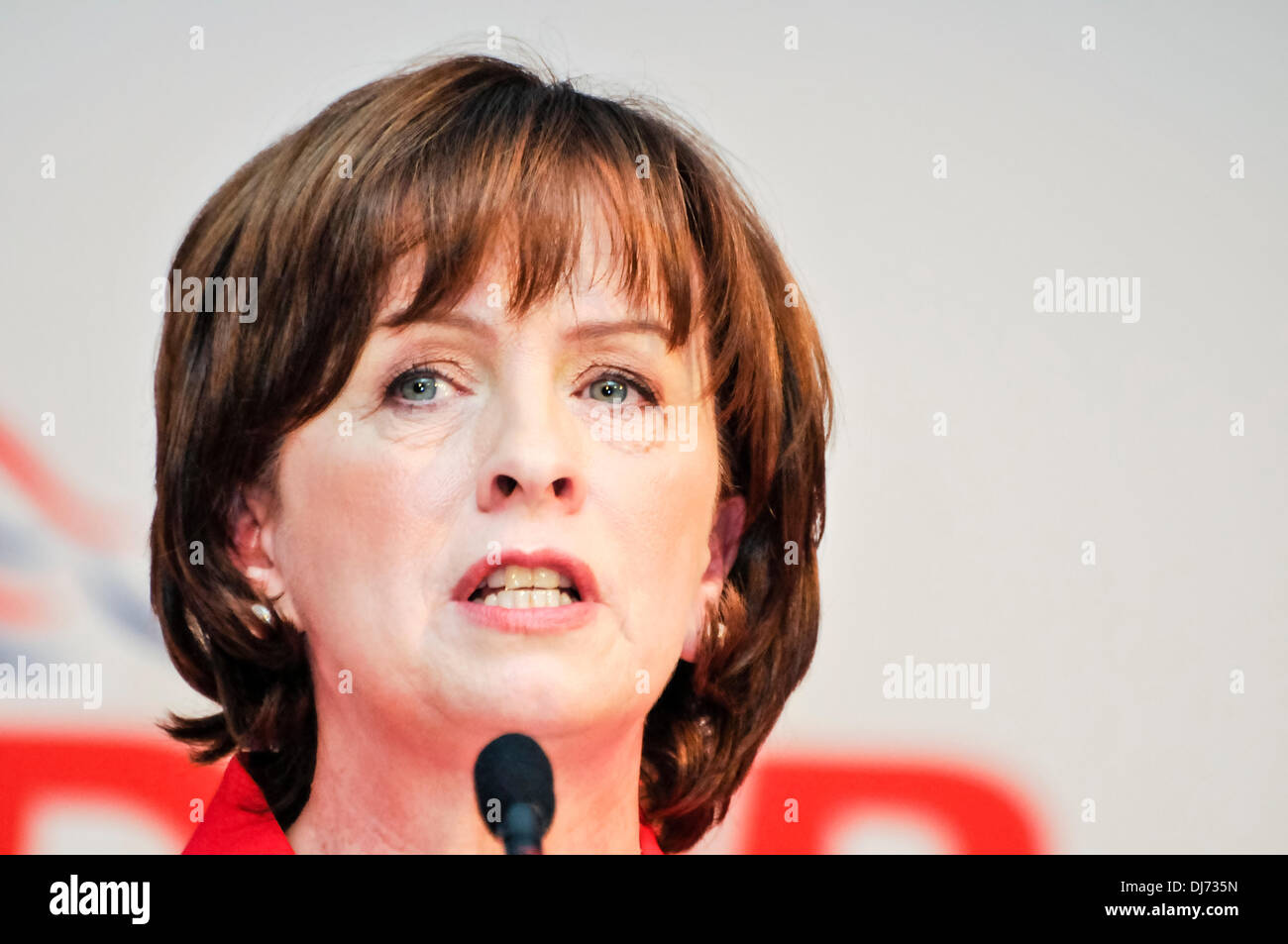 Belfast, Northern Ireland. 23rd Nov 2013 - Diane Dodds MEP addresses the DUP parrty conference Credit:  Stephen Barnes/Alamy Live News Stock Photo