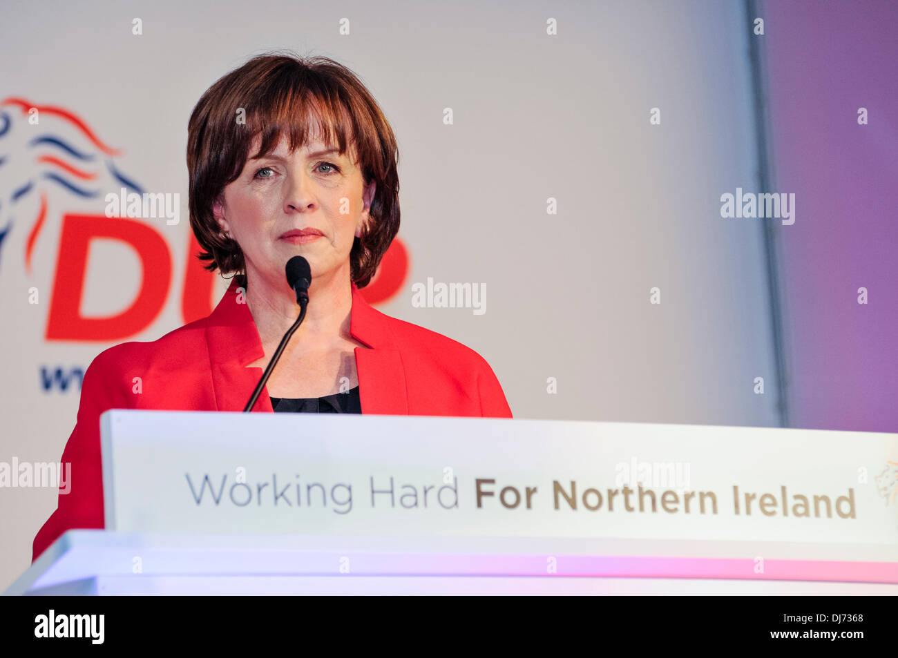 Belfast, Northern Ireland. 23rd Nov 2013 - Diane Dodds MEP addresses the DUP parrty conference Credit:  Stephen Barnes/Alamy Live News Stock Photo