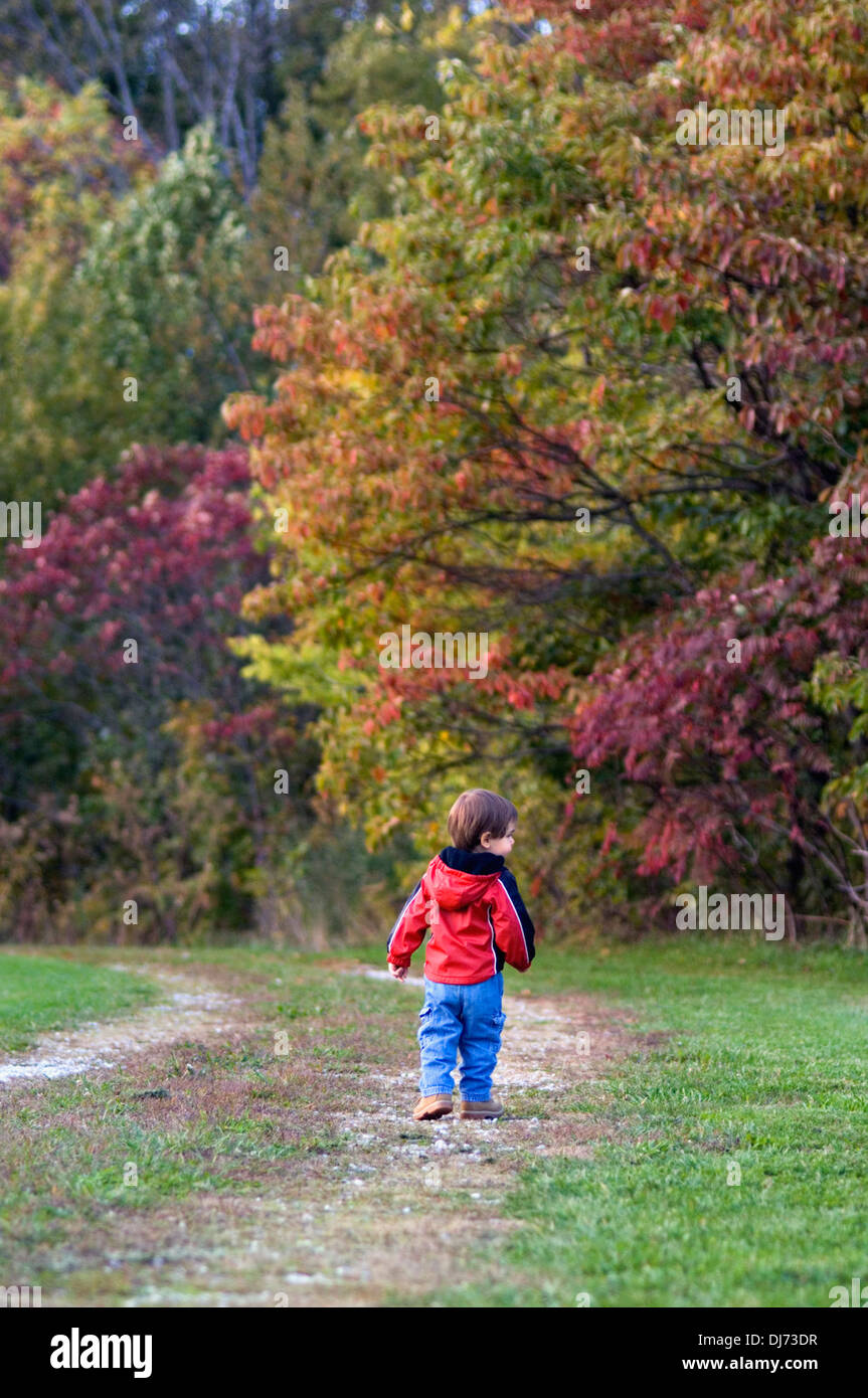 Toddler Walking along Autumn Path in Southern Indiana Stock Photo