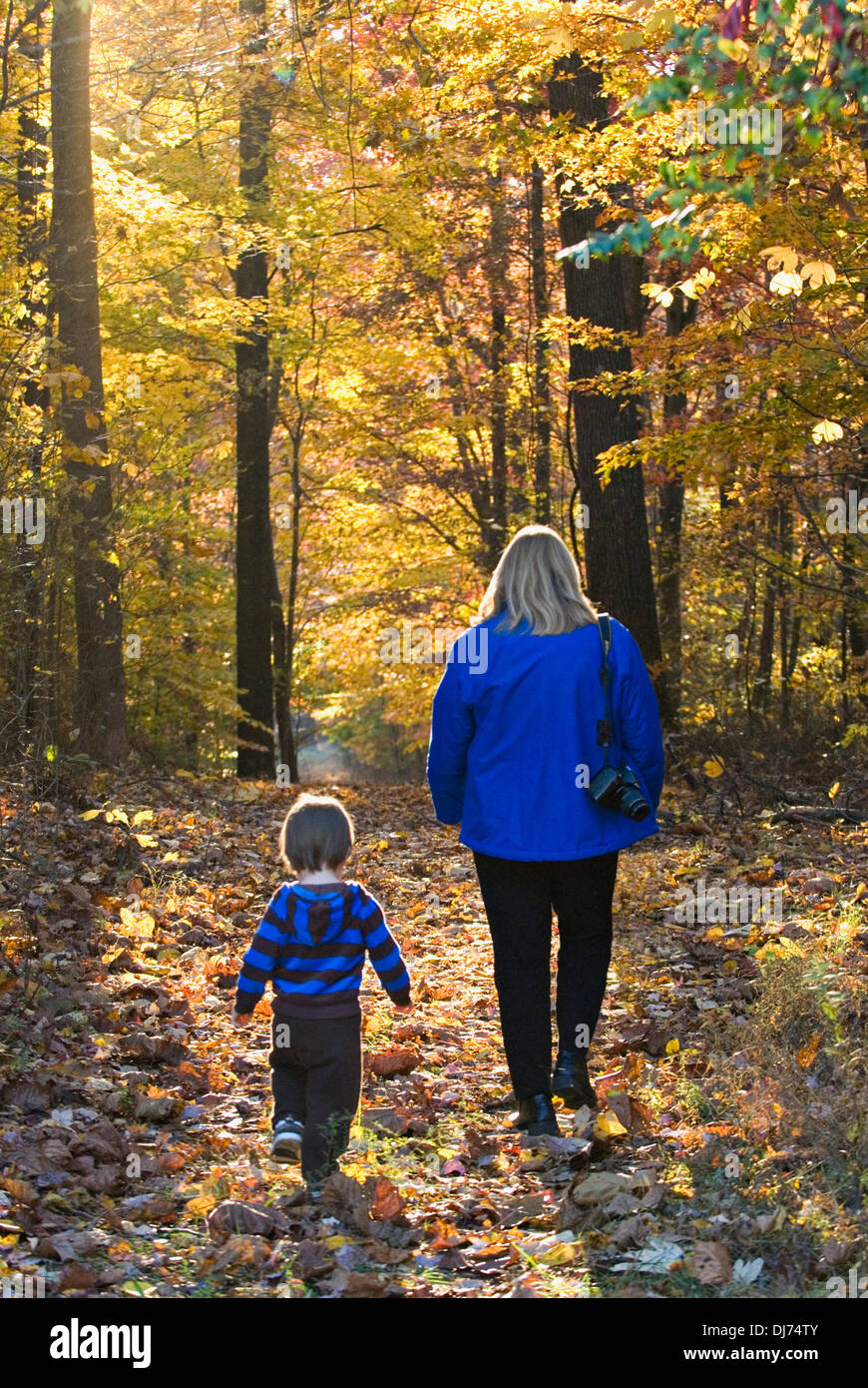 Woman and Grandson Walking in Autumn Woods Stock Photo