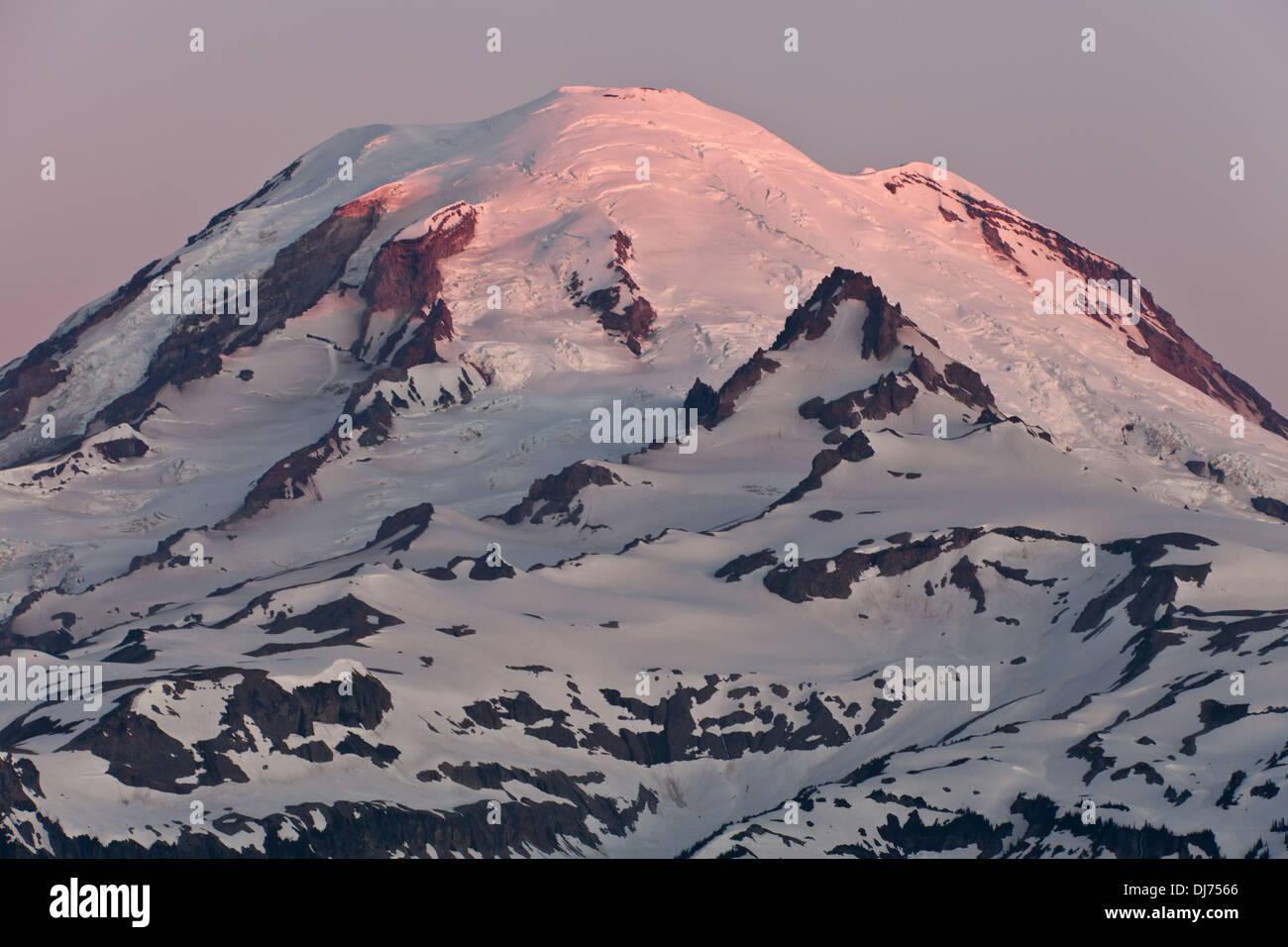 Morning Alpenglow on Mount Rainier from Shriner Peak, Mount Rainier National Park, Washington. Stock Photo