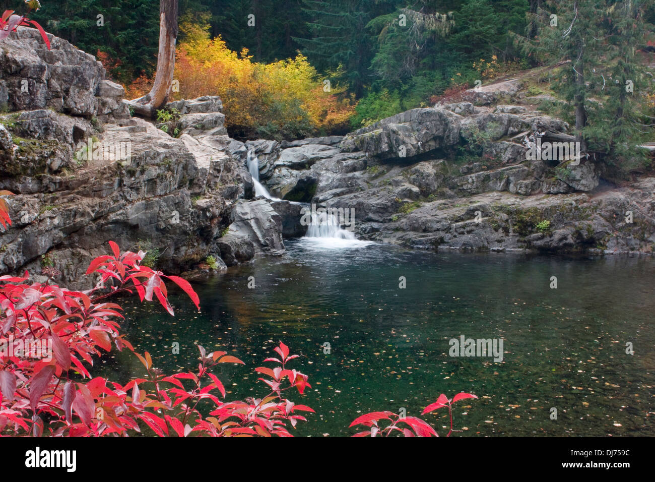 A waterfall along Box Canyon Creek in fall, Wenatchee National Forest, Washington. Stock Photo