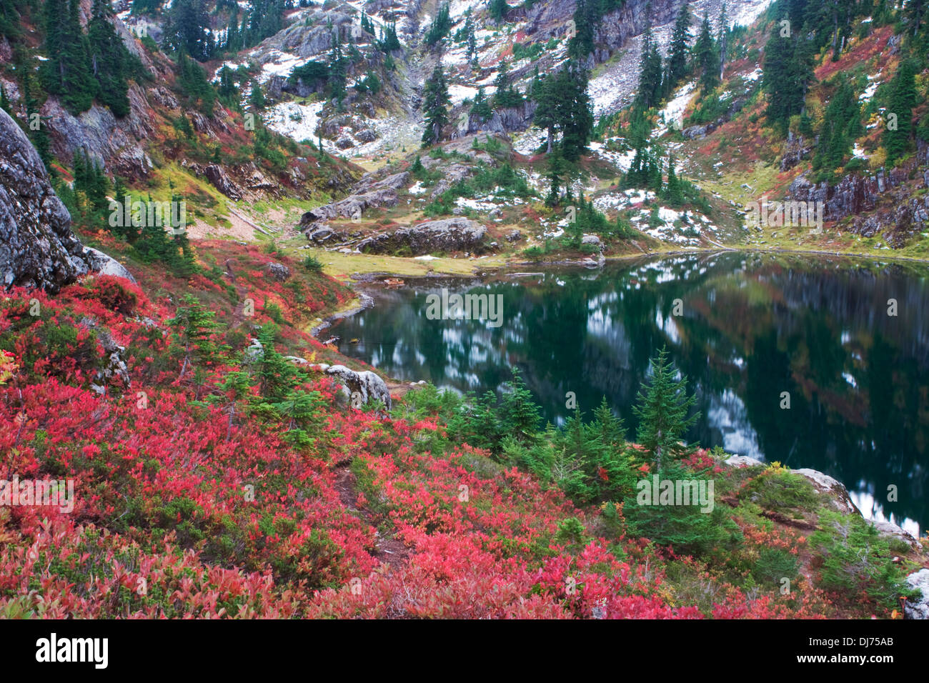 Fall colors at Rampart Lakes, Alpine Lakes Wilderness, Washington. Stock Photo