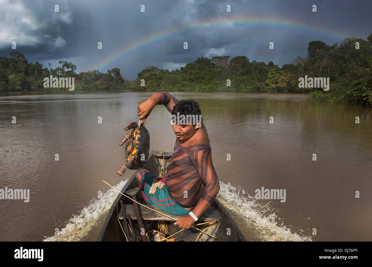 Apr 27, 2013 - Poti-Kro, Para, Brazil - Kroire, a warrior of Poti-Kro, returns from a successful hunting trip with a jabuti, or land turtle. Villagers usually take boats to different parts of the jungle to avoid overhunting any one area. Xikrin people live on the Bacaja, a tributary of the Xingu River, where construction of the Belo Monte Dam is reaching peak construction. Some scientists warn that the water level of the Bacaja will decrease precipitously due to the dam. (Credit Image: © Taylor Weidman/ZUMA Wire/ZUMAPRESS.com) Stock Photo