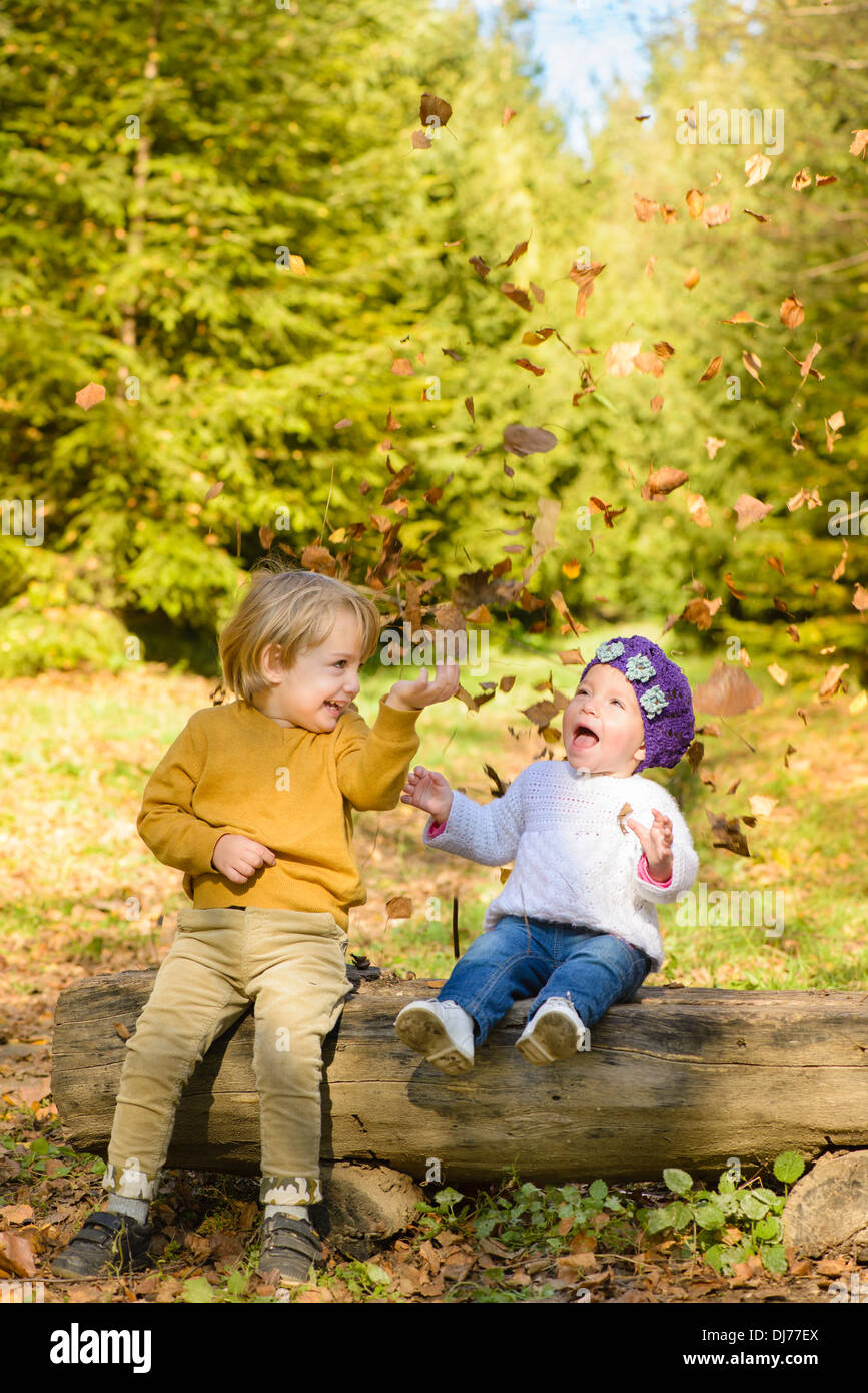 Children throwing leaves in autumn forest Stock Photo