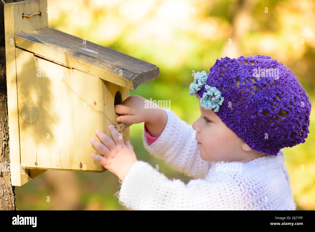 Child looking curious at one birds house in a forest in autumn time Stock Photo
