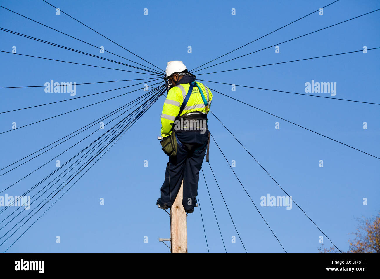 BT plc engineer (British PLC) installs a new domestic