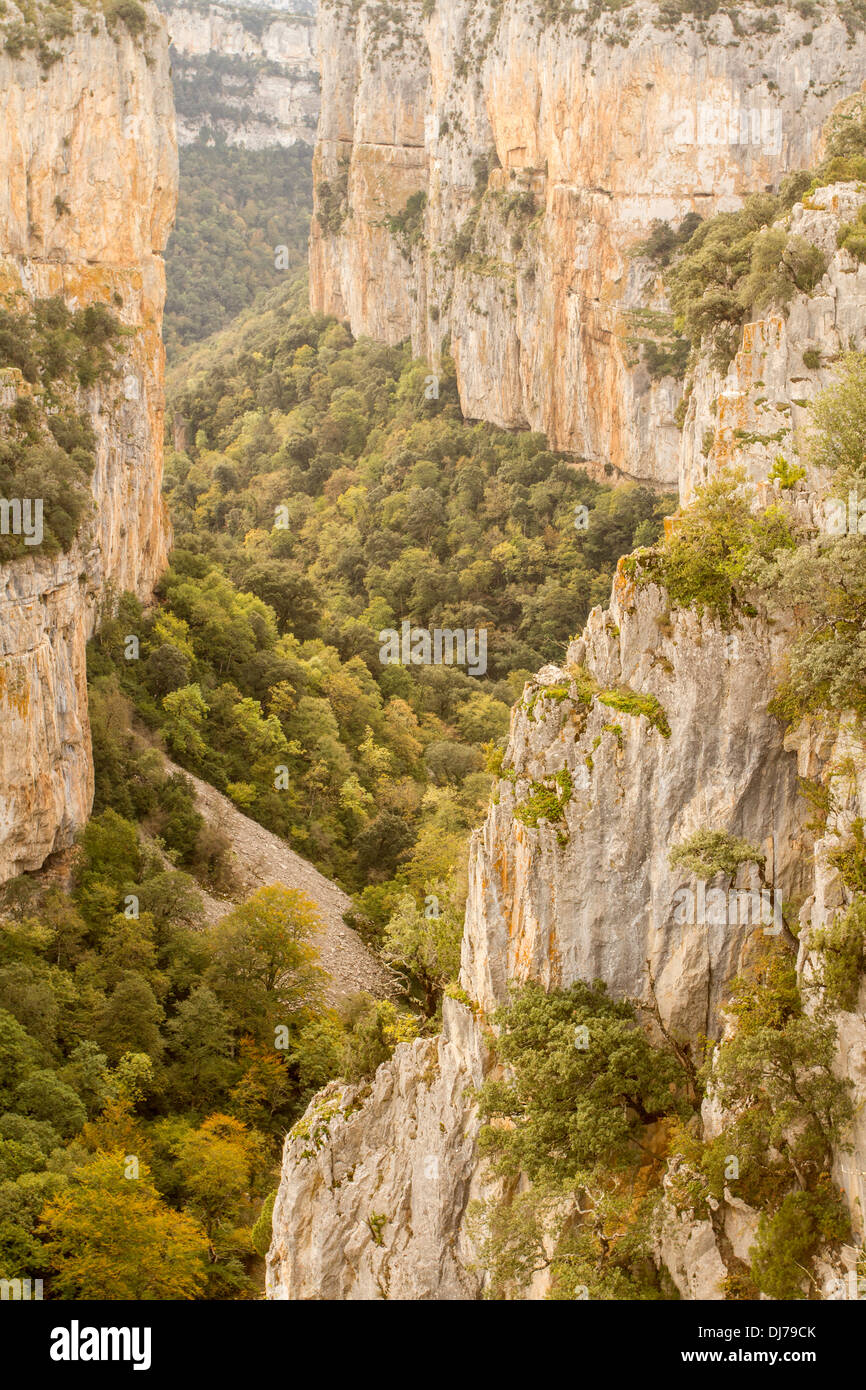 Natural reserve of Arbayun Gorge, Navarre, Spain Stock Photo