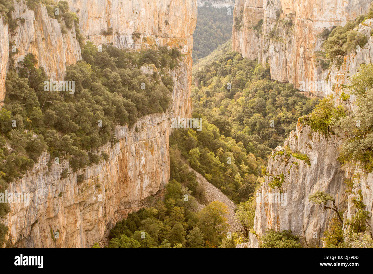 Natural reserve of Arbayun Gorge, Navarre, Spain Stock Photo