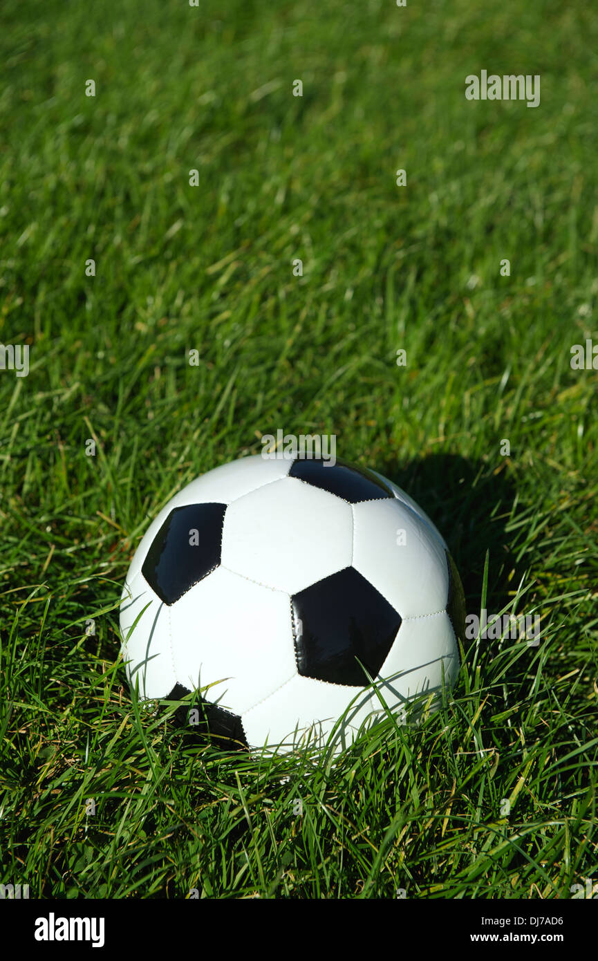 Classic black and white soccer ball football sits in a patch of sunny green grass Stock Photo