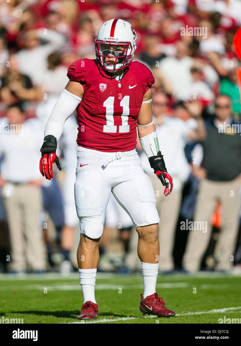 November 23, 2013: Stanford Cardinal linebacker Shayne Skov (11) in action  during the NCAA Football game between the Stanford Cardinal and the  California Golden Bears at Stanford Stadium in Palo Alto, CA.