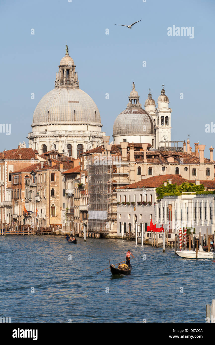 Grand canal and Salute cathedral, seen from Accademia bridge, in Venice, Italy, Europe Stock Photo