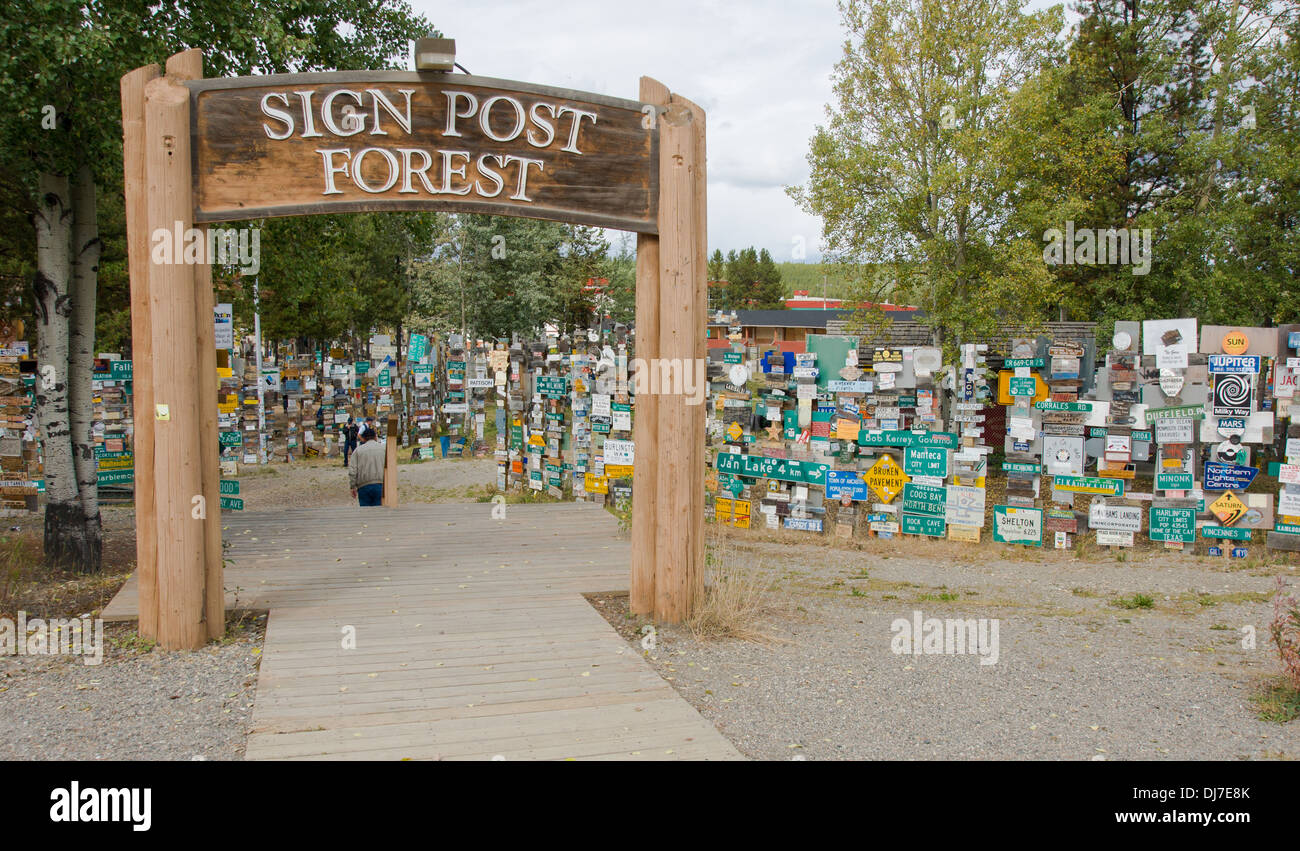 A closeup view of some of the many signposts in the signpost forest of