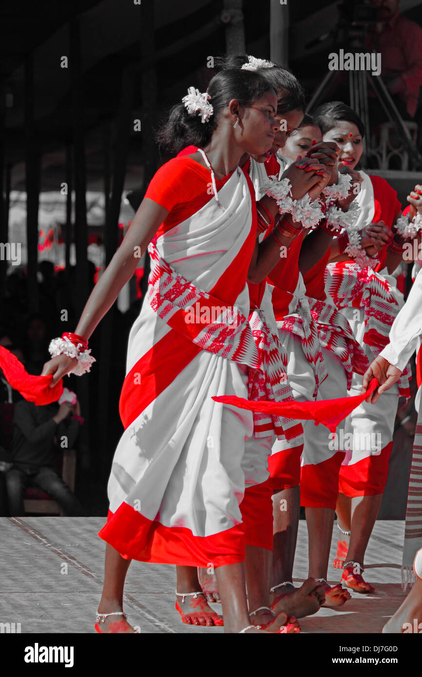 Tea tribes Performing Traditional Jumur Dance at Namdapha Eco Cultural