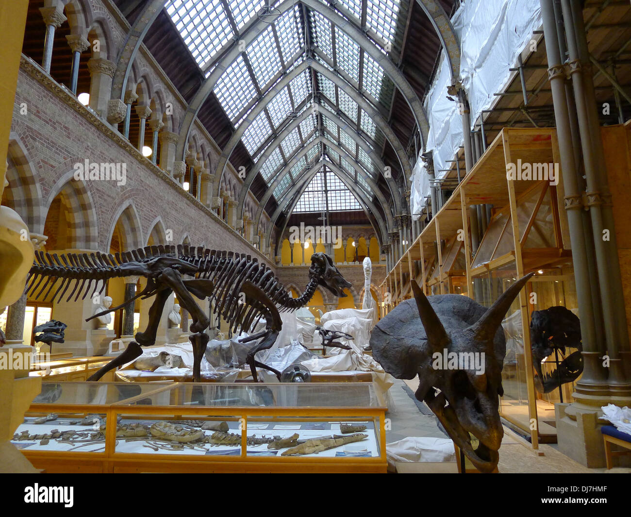 Natural History Under Wraps Stock Photo Alamy