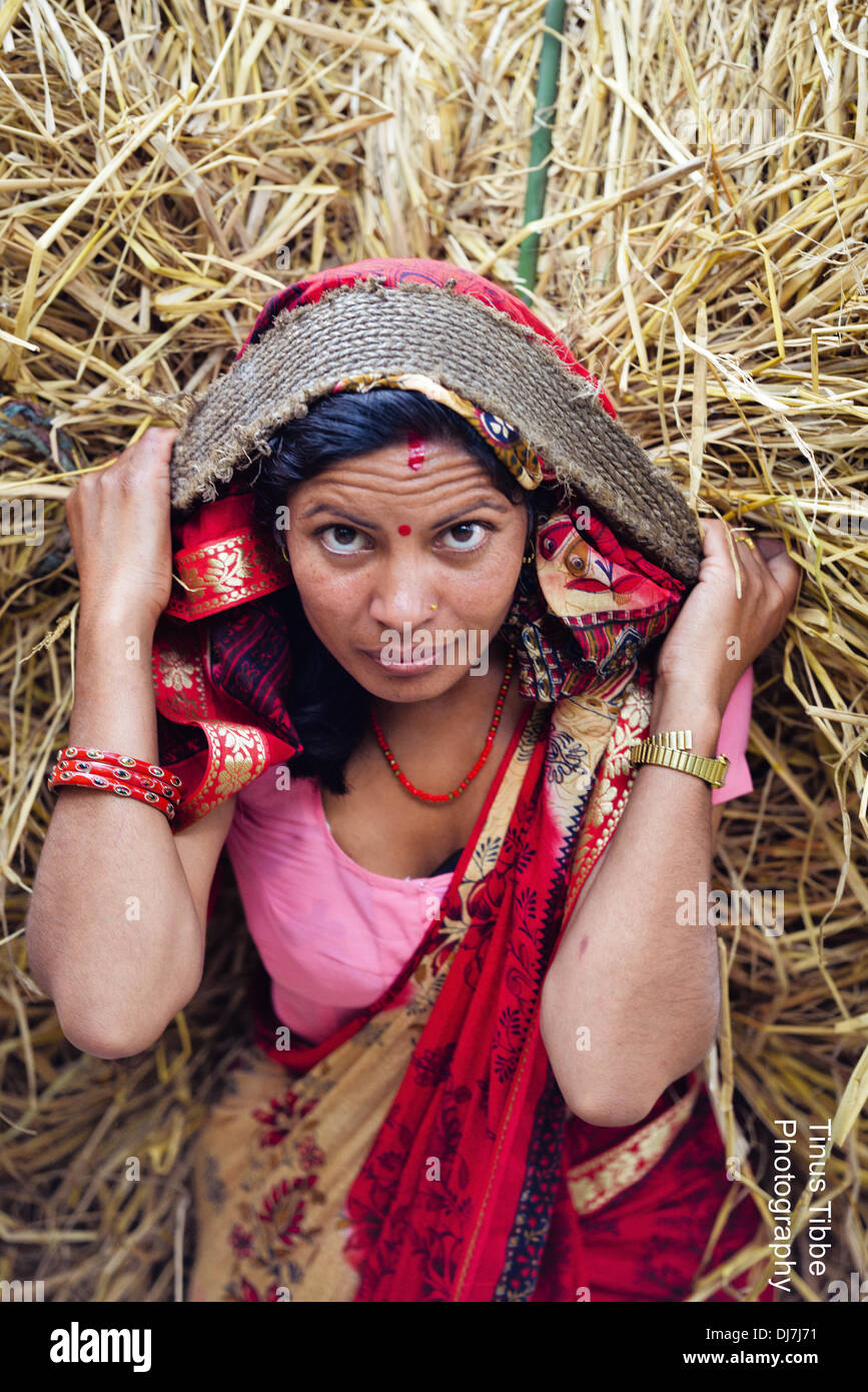 Food for cattle Stock Photo Alamy