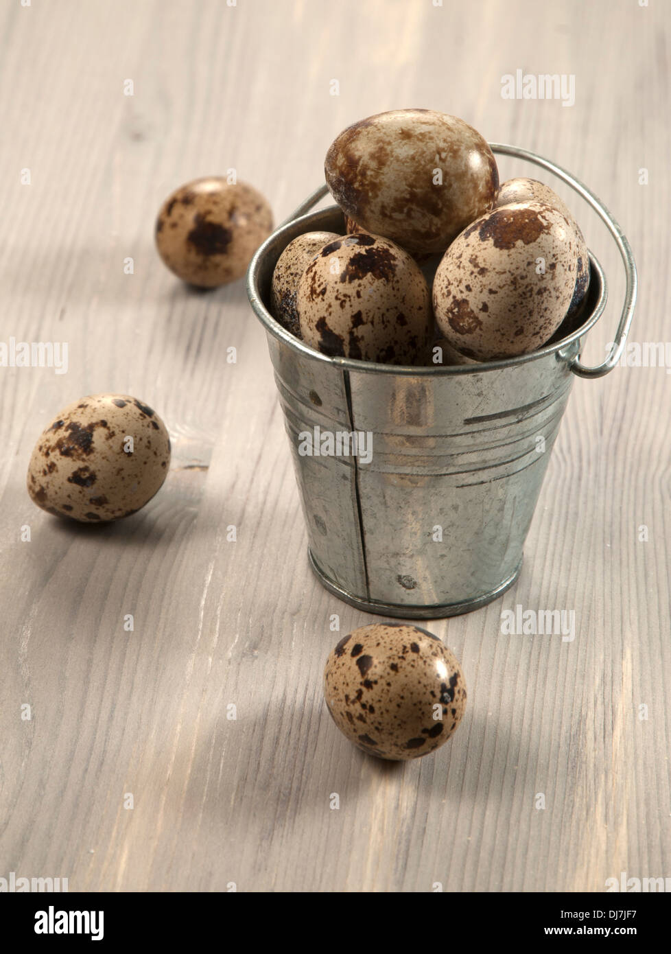 Quail eggs in a small tin bucket on a table Stock Photo
