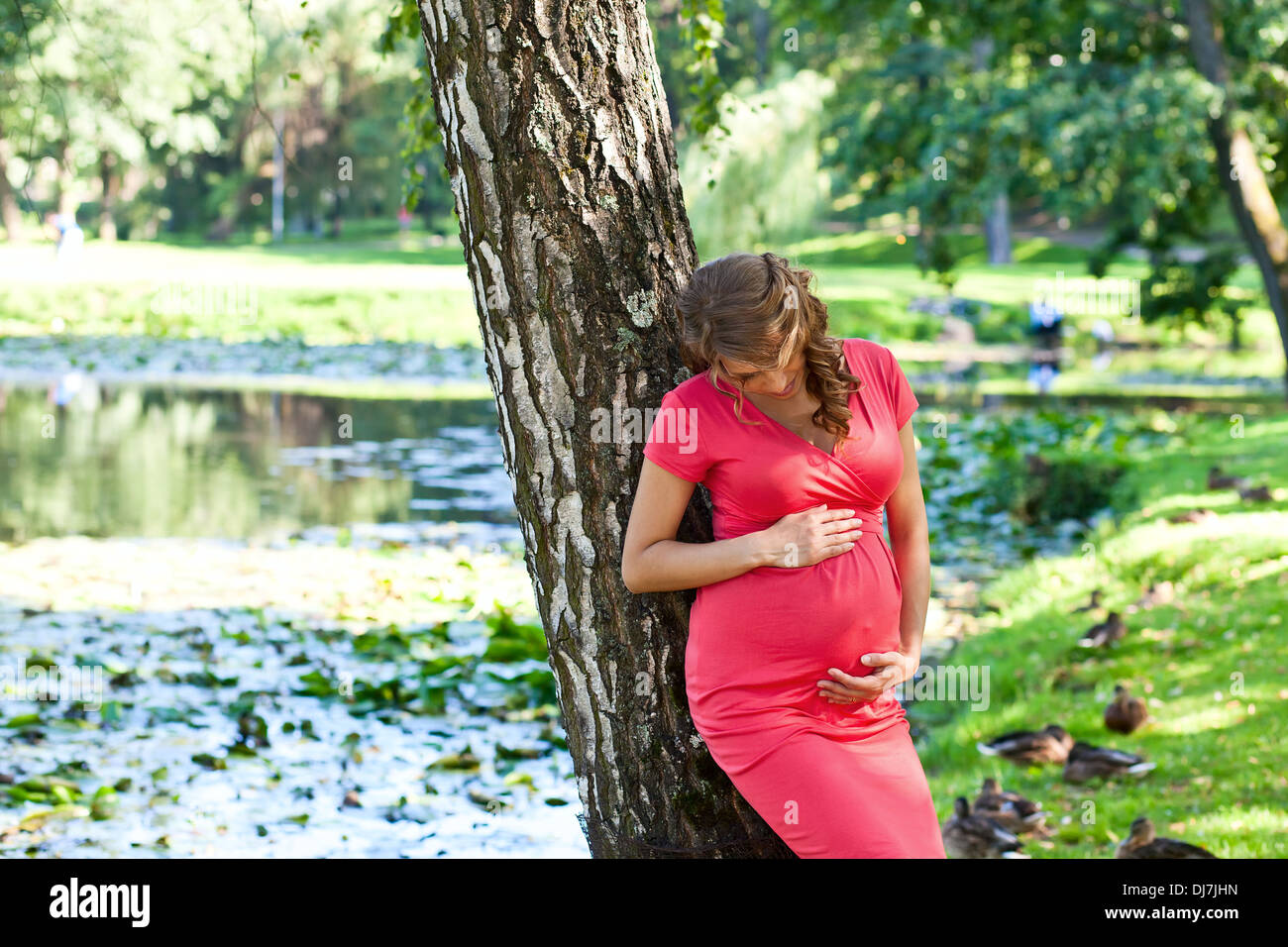 The young pregnant woman on walk in park Stock Photo - Alamy