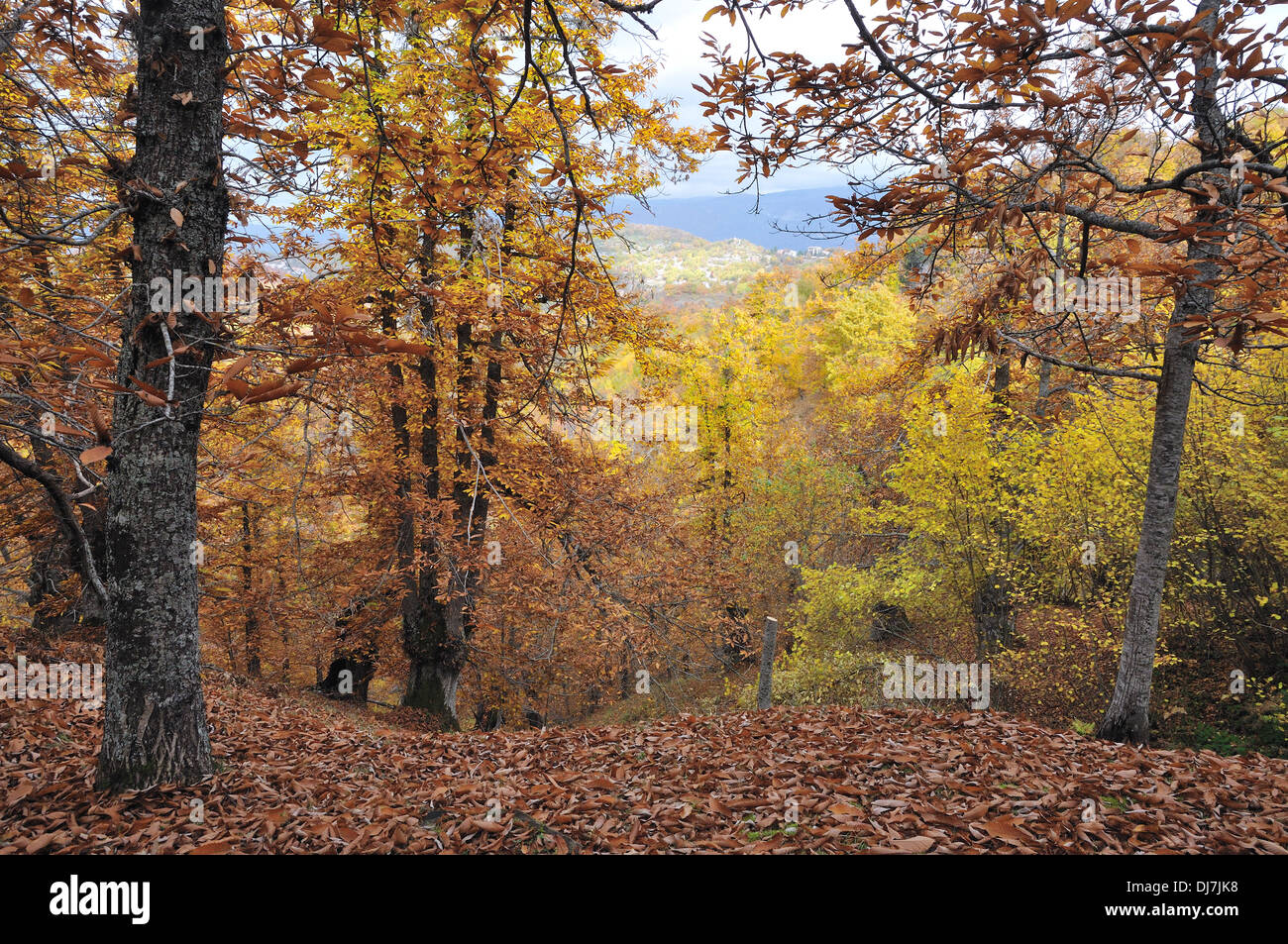 Autumn Pescorocchiano (Rieti) N 1 by andrea quercioli Stock Photo