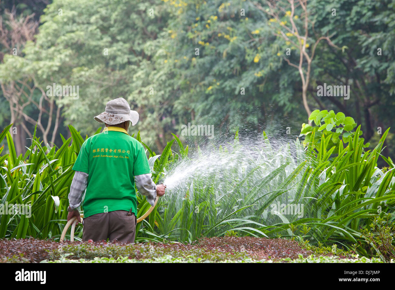 Gardner Watering the shrubs in Victoria Park, Hong Kong Stock Photo Alamy