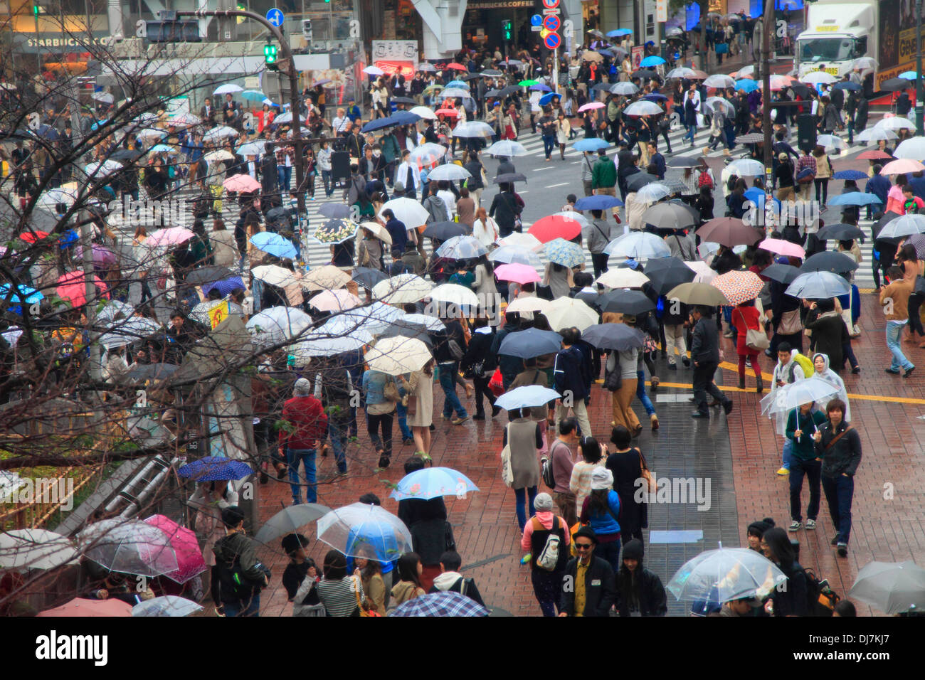 Japan, Tokyo, Shibuya, street crossing, crowd, people, Stock Photo
