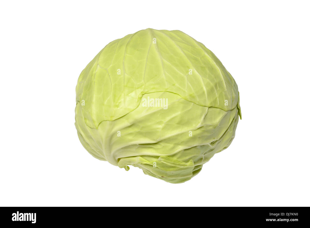 cutted cabbage Stock Photo
