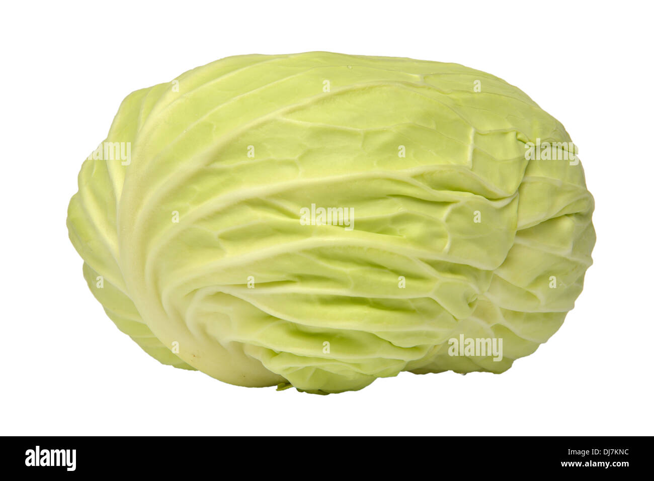 cabbage Stock Photo