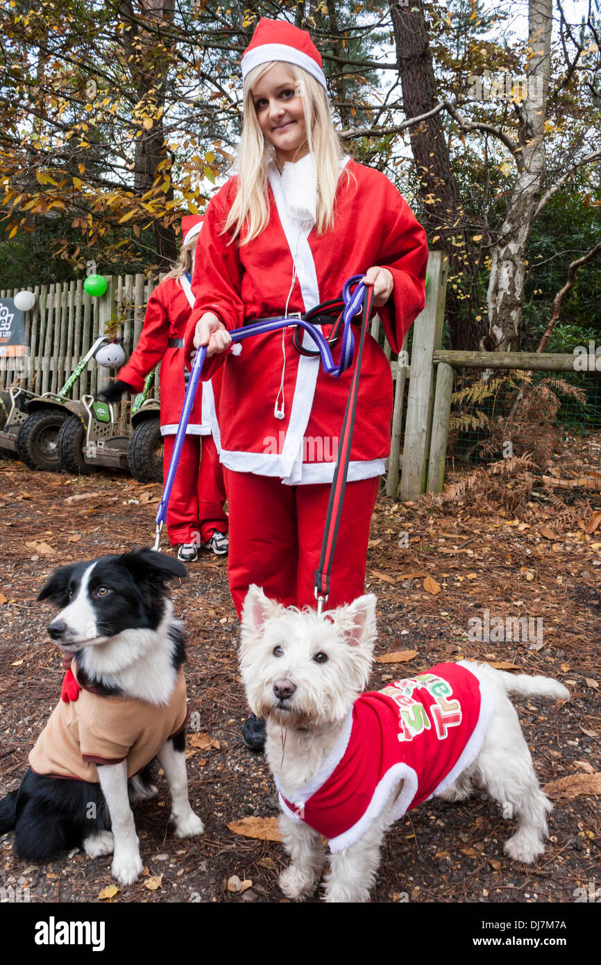 Hundreds of fund-raisers dressed as Santas run in the annual 'Santa Dash' to raise money for the Thames Hospice charity. Swinley Forest, Bracknell, Berkshire, England, GB, UK Stock Photo