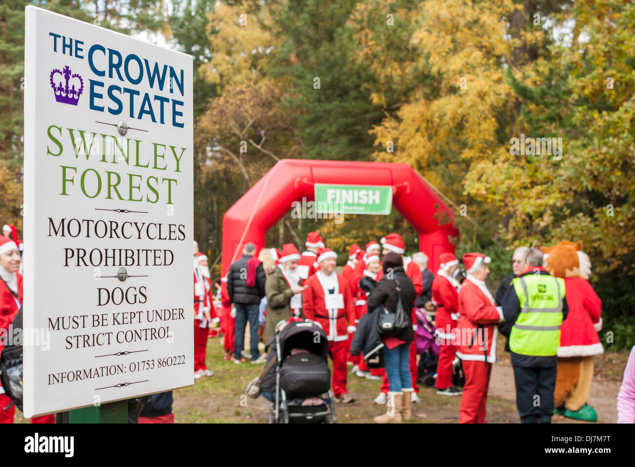 Hundreds of fund-raisers dressed as Santas run in the annual 'Santa Dash' to raise money for the Thames Hospice charity. Swinley Forest, Bracknell, Berkshire, England, GB, UK Stock Photo