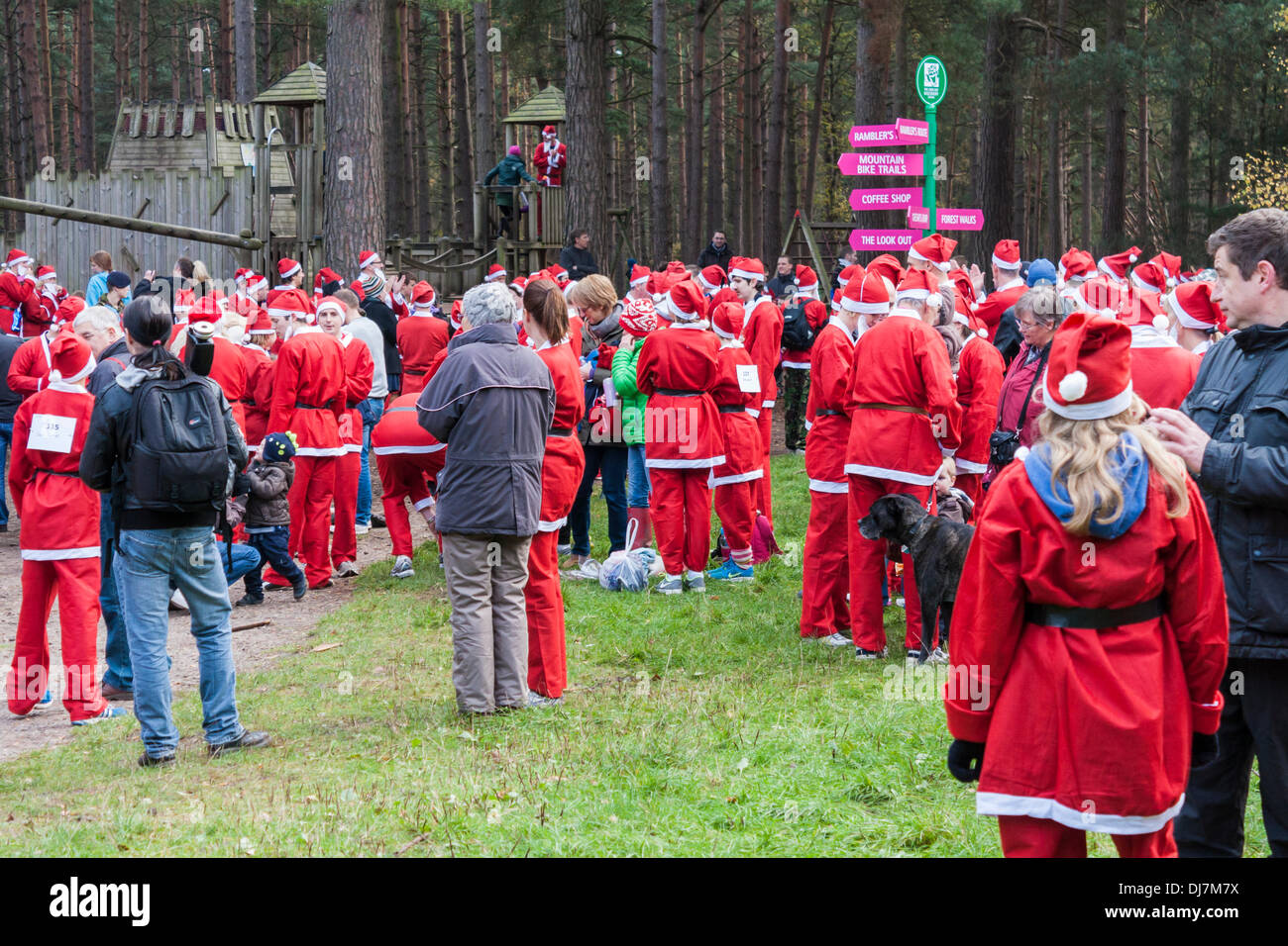 Hundreds of fund-raisers dressed as Santas run in the annual 'Santa Dash' to raise money for the Thames Hospice charity. Swinley Forest, Bracknell, Berkshire, England, GB, UK Stock Photo