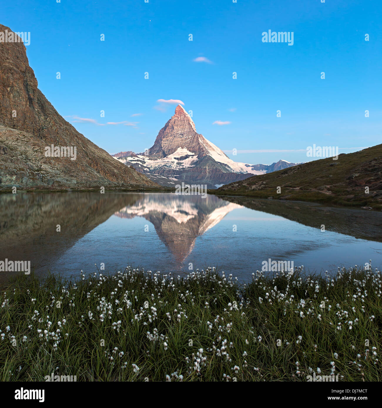 Matterhorn reflection in Riffelsee with flowers, Zermatt, Alps, Switzerland Stock Photo