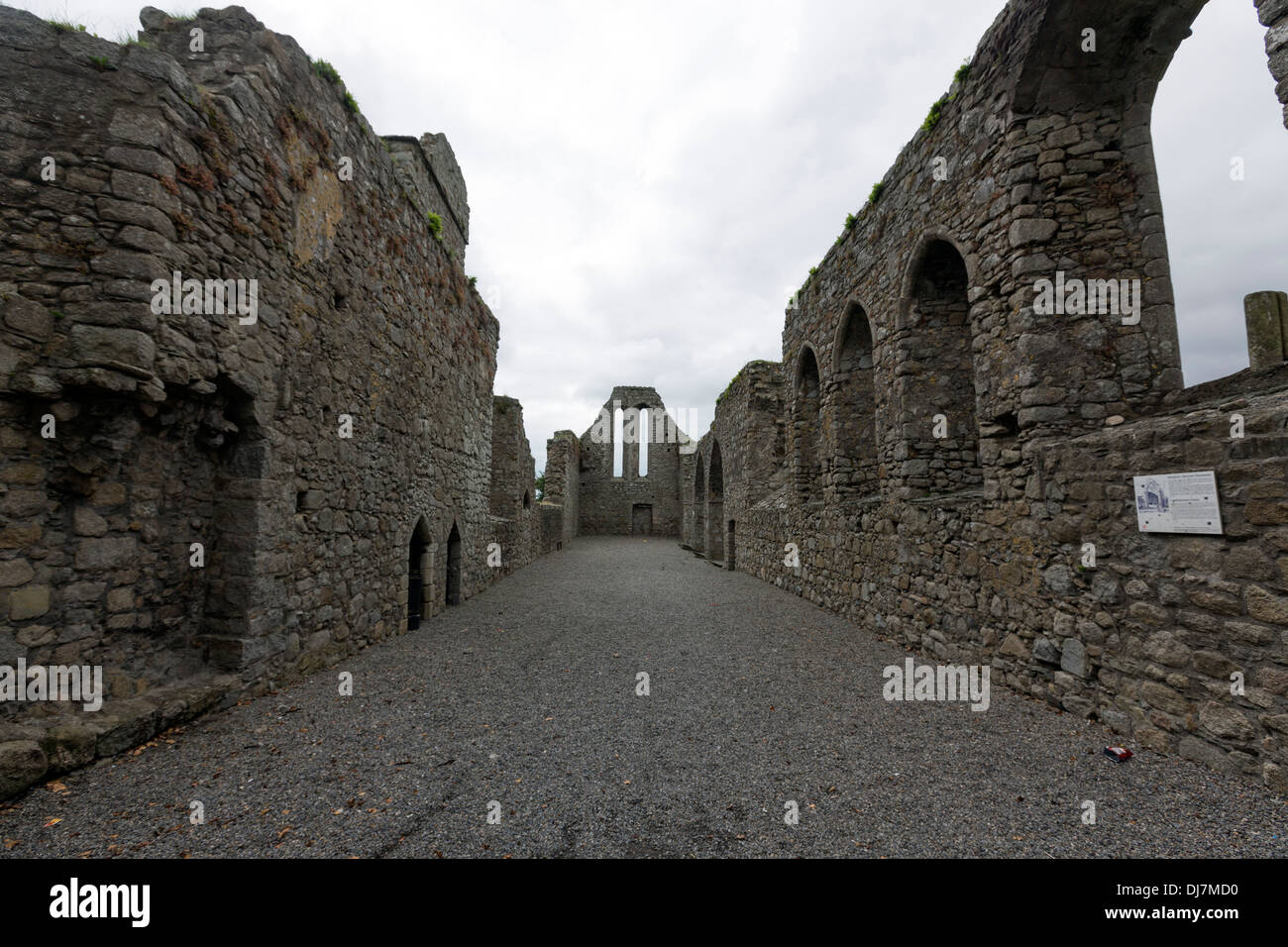 Castledermot ruins of a Franciscan friary, Kildare, Ireland. Stock Photo