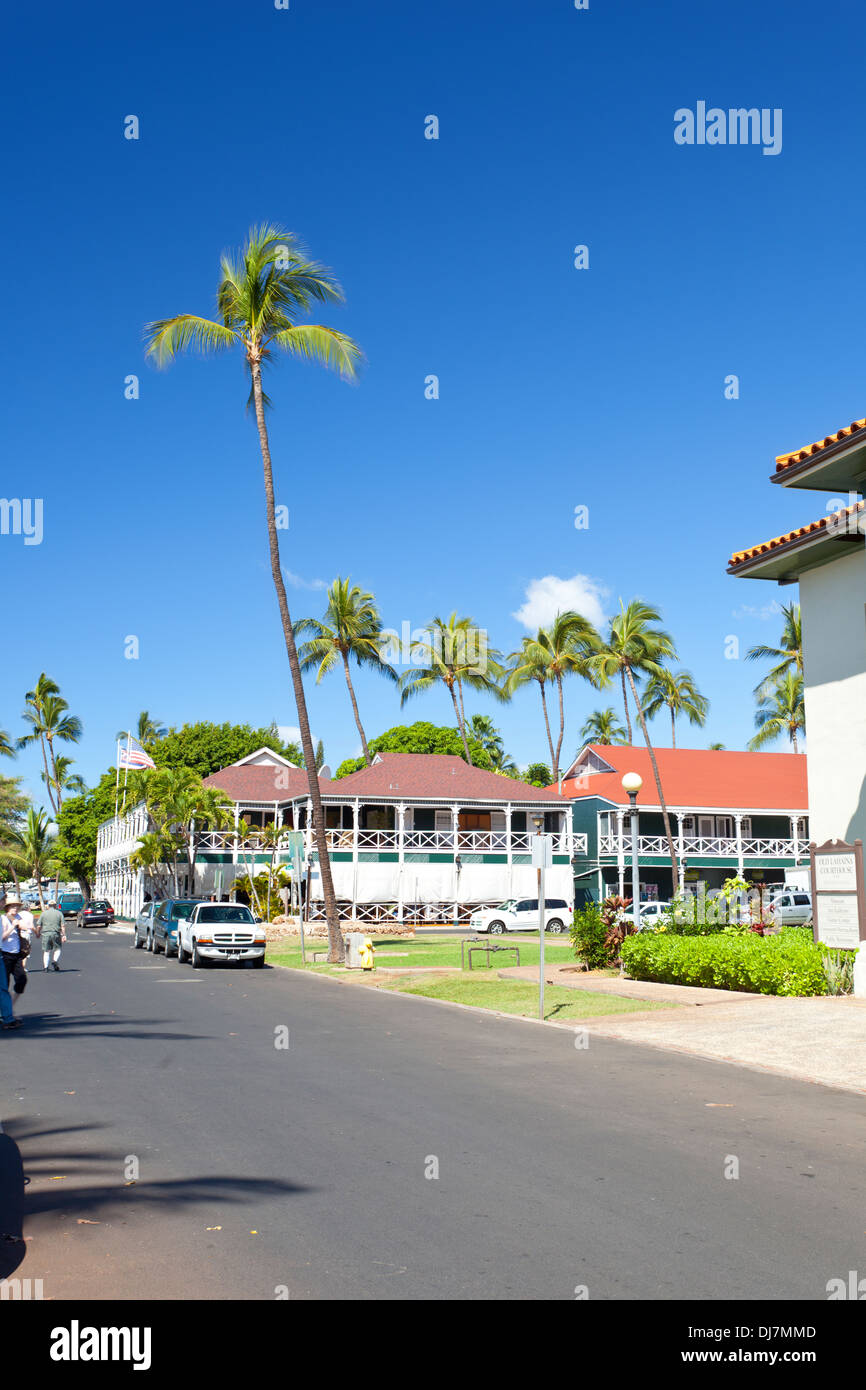 Lahaina streets close to the waterfront with a tall palm tree and blue sky. Stock Photo