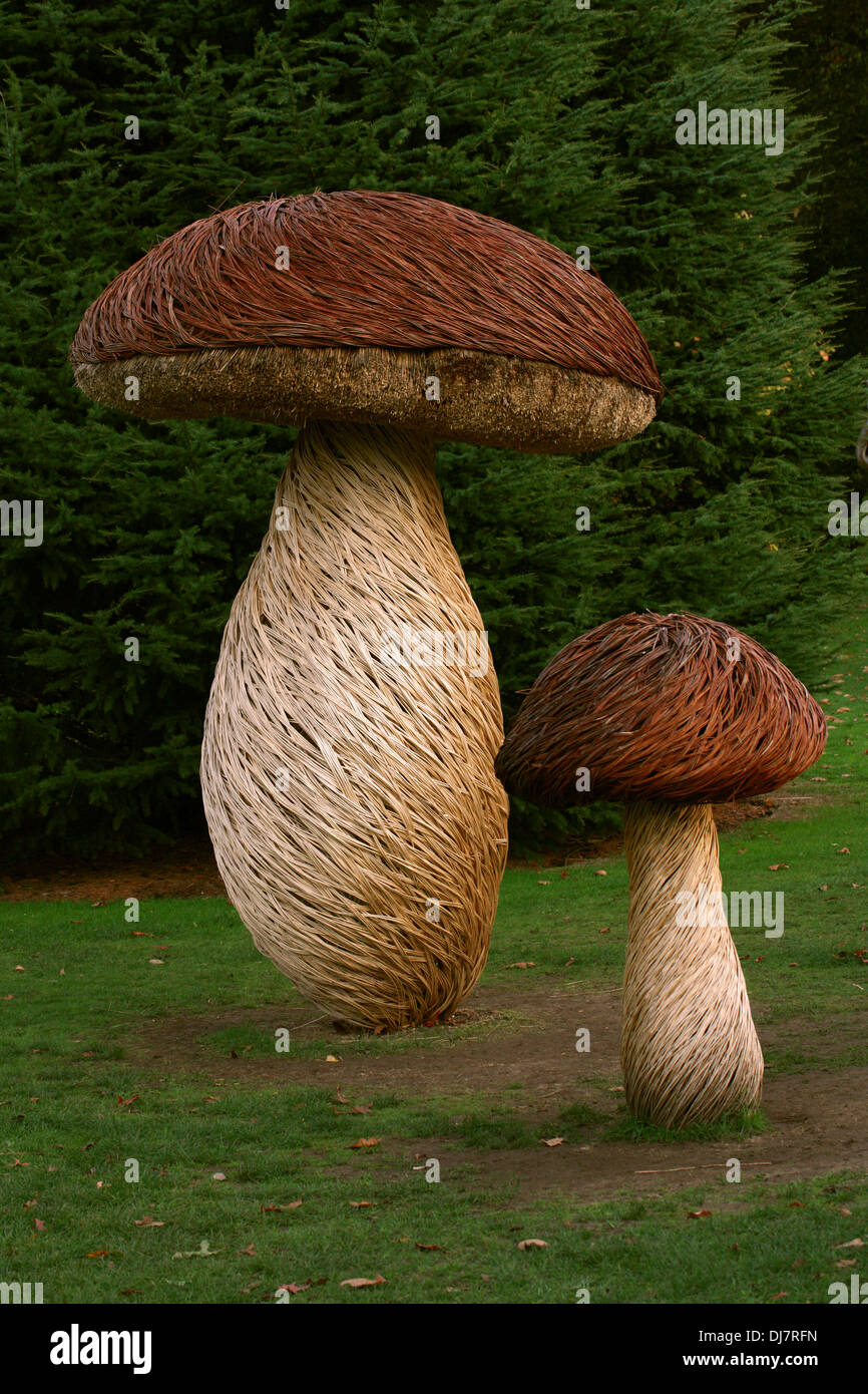 Willow Sculpture of Cep Mushrooms, Kew Royal Botanical Gardens. Stock Photo