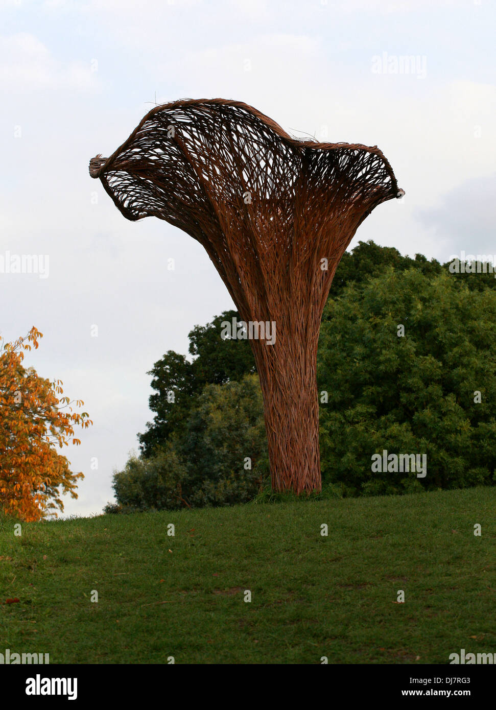 Willow Sculpture of Chantarelle Mushroom, Kew Royal Botanical Gardens. Stock Photo