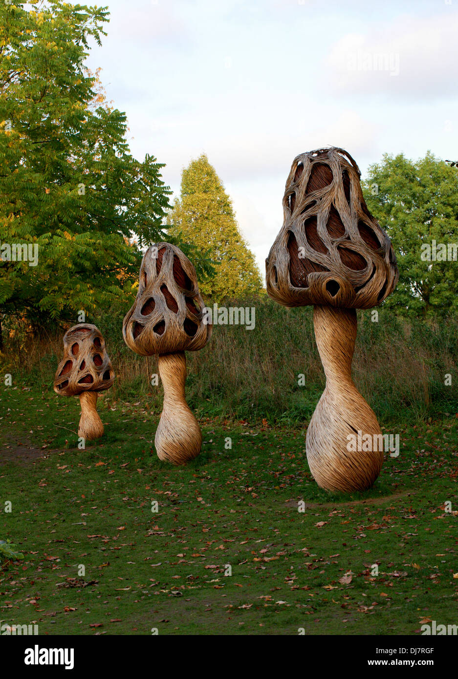Willow Sculptures of Morel Mushrooms, Kew Royal Botanical Gardens. Stock Photo