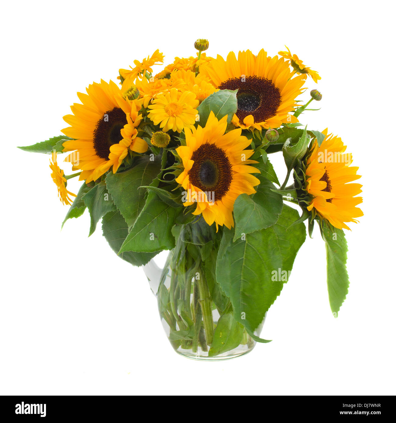 sunflowers and marigold flowers in vase Stock Photo Alamy