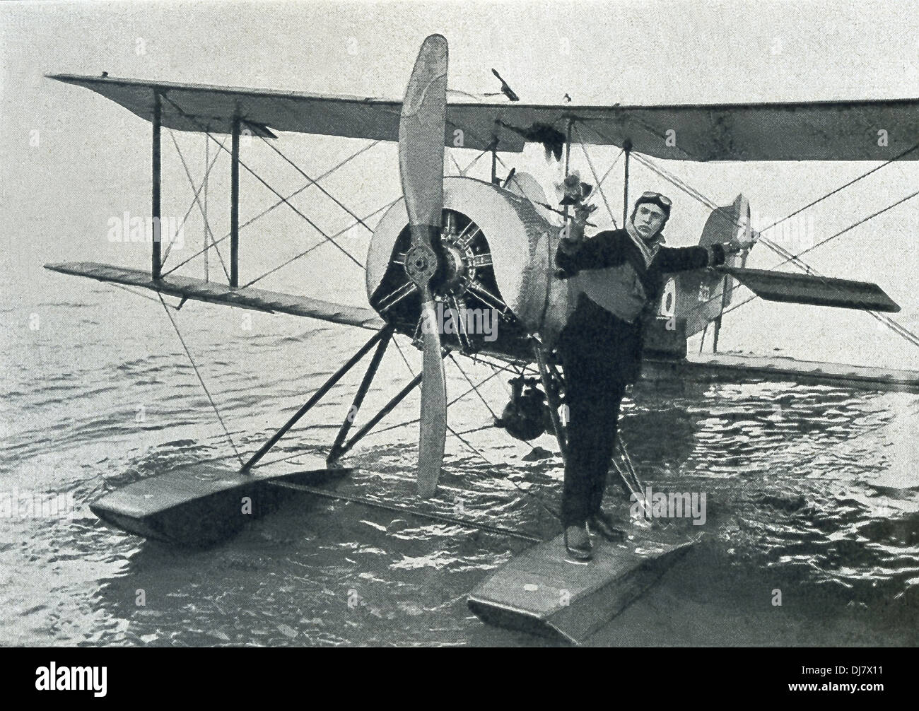 World war i carrier pigeon hires stock photography and images Alamy