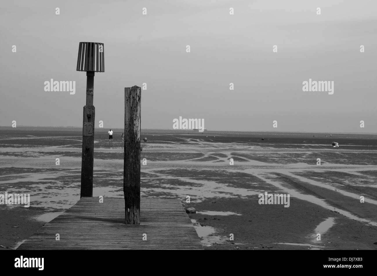 Shire Black and White Stock Photos & Images - Alamy