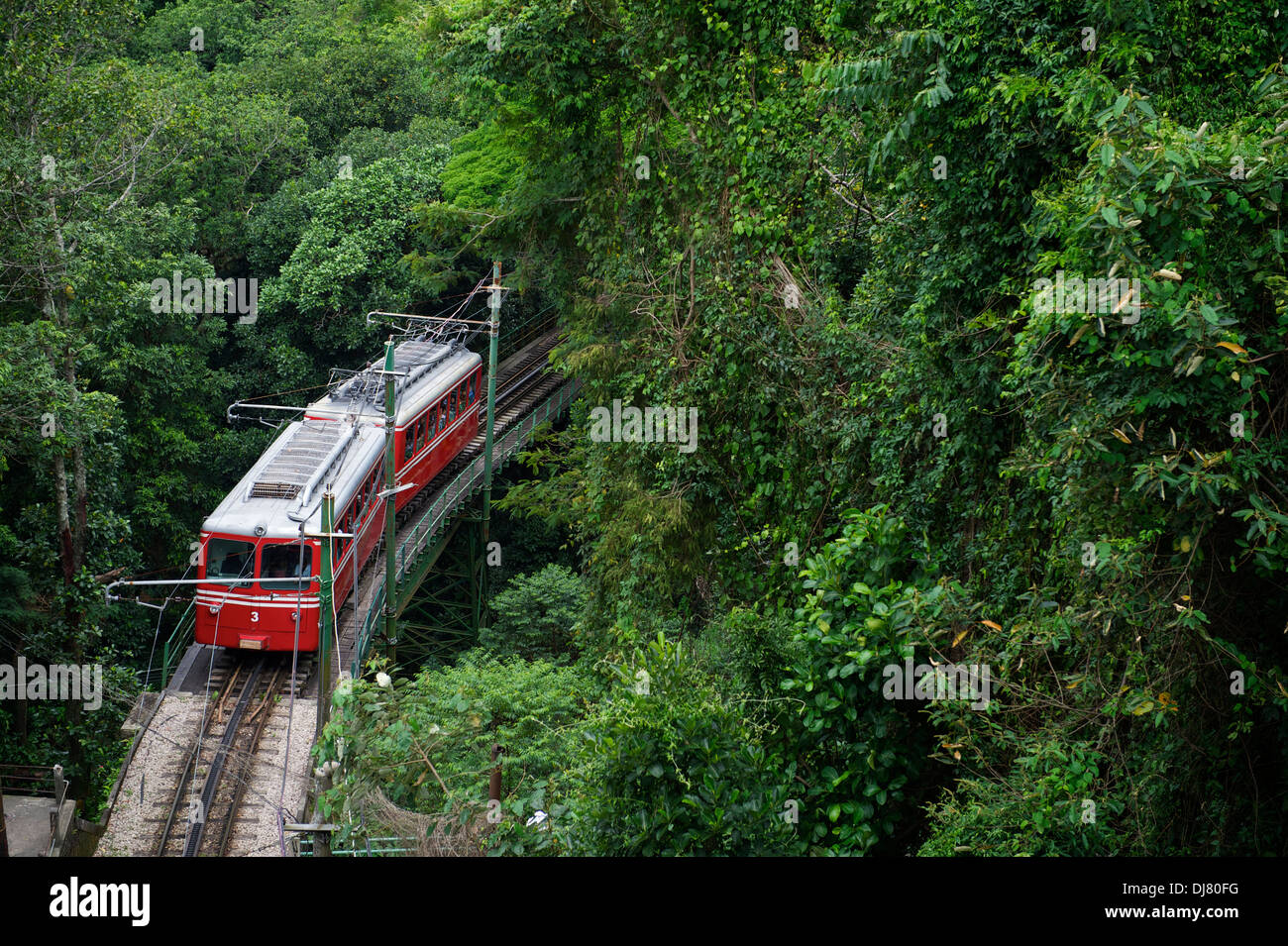 Red Brazilian train travels through thick green jungle at Tijuca National Forest in Rio de Janeiro Brazil Stock Photo
