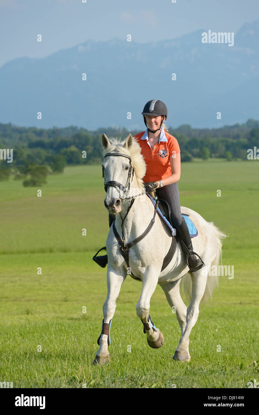 Horse Grey Riding Rider Canter High Resolution Stock Photography and ...